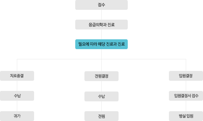 접수(이후 산모일 경우 6층 분만장)이후 예진. 내과의사진료, 응급의학과 진료, 해당진료과 진료-내과, 소화과 이외의 환자, 소아과 진료. 치료종결-수납-귀가/전원결정-수납-전원/입원결정-입원결정서 접수-병실 입원